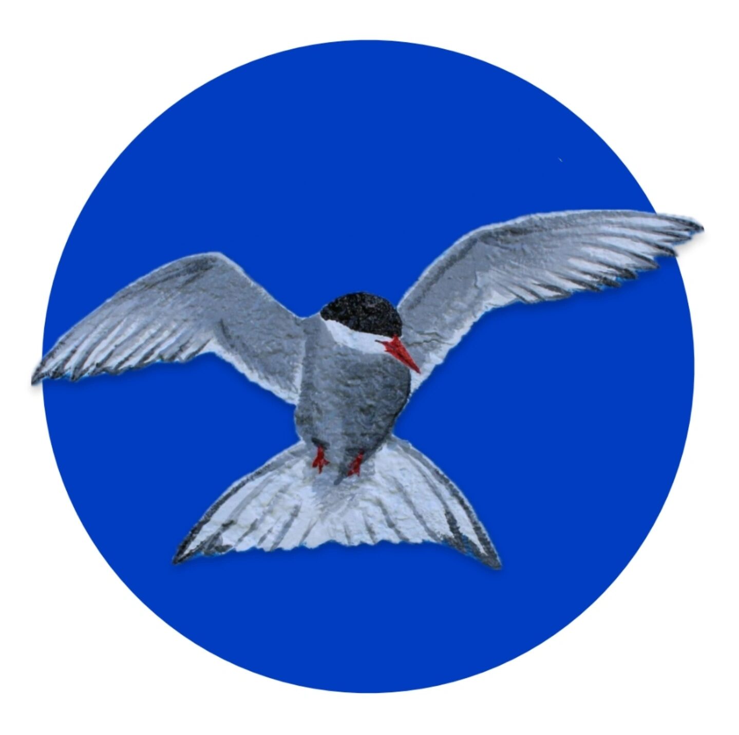 img 20250712 161004 160